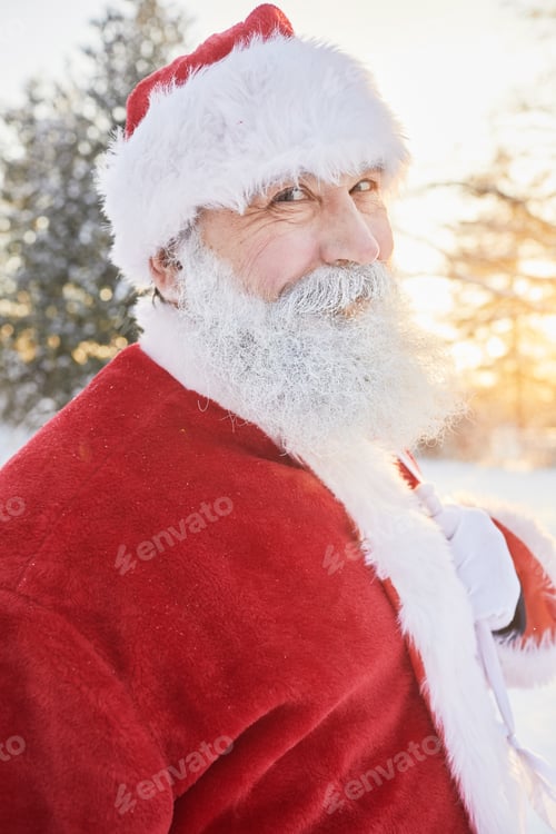 Preview: Vertical Portrait of Smiling Santa