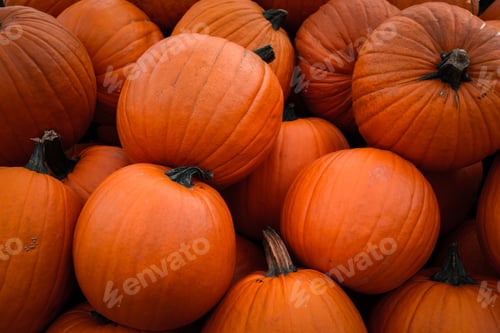 Preview: Pumpkins background.
