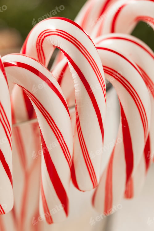 Preview: Festive Christmas Peppermint Candy Cane