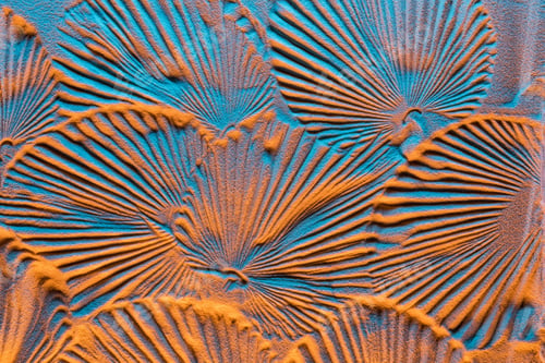 Preview: top view of textured background with leaf prints on sand and color filter