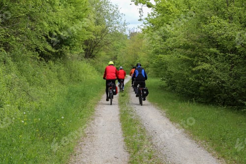 Preview: Cyclers in the woods heading up the path
