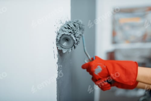 Preview: Female house painter hand with paint roller