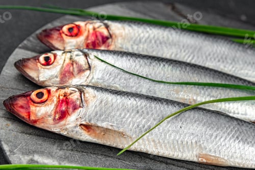 Preview: herring fish fresh raw seafood tasty fresh healthy eating cooking appetizer meal food snack