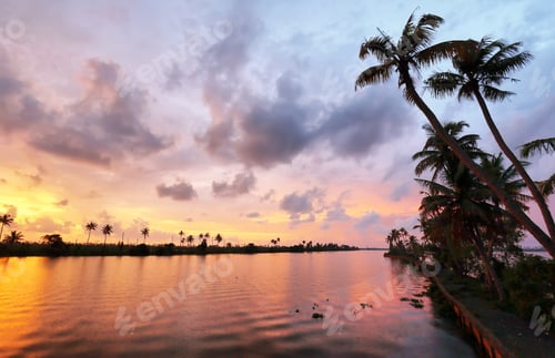 Preview: Backwaters in a Boathouse in Kumarakom, Kerala, India.