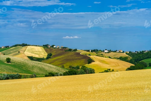 Preview: Rural landscape near Ostra Vetere and Cingoli, Marche, Italy
