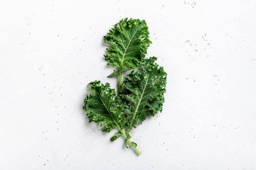 Preview: kale lettuce