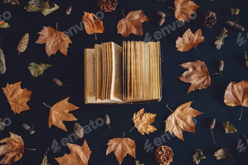 Preview: Vintage book and autumn maple leaves on dark background from above.