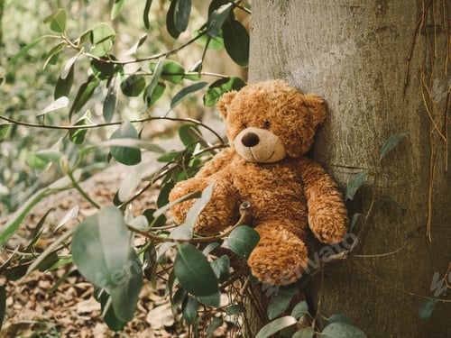 Preview: Brown teddy bear, sitting comfortably in a tree as if it had a life of its own.