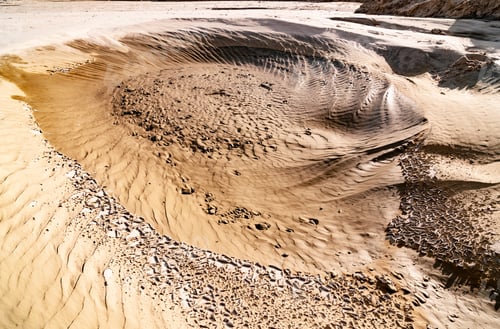 Preview: Therapeutic mud pool near coniferous forest