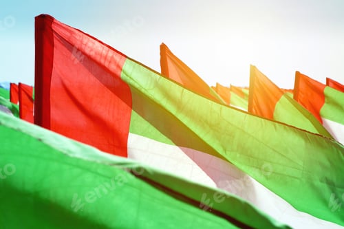 Preview: Many Flags of the United Arab Emirates waving in the wind. United Arab Emirates independence day