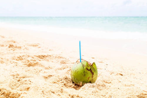 Preview: ⭐️⭐️⭐️ Nominated ⭐️⭐️⭐️ Green fresh coconut lying on sandy beach on