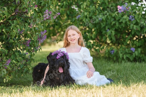 Preview: beautiful girl sitting in the spring park with bouquets of flowers and a black Russian terrier dog