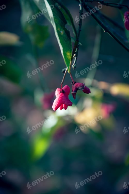 Preview: Lush green plant with delicate small purple flowers blossoming from its branches