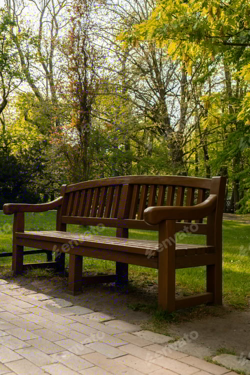 Preview: Green wooden bench in the park on sunny day in autumn spring summer season. Public Olivia park in