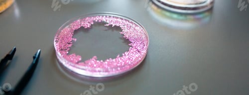 Preview: Petri dish with pink glitter sample mixed in analysis fluid in pharmaceutical research lab.