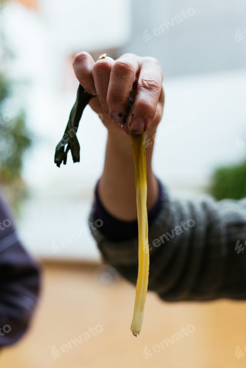 Preview: Traditional catalan food grill: calcots