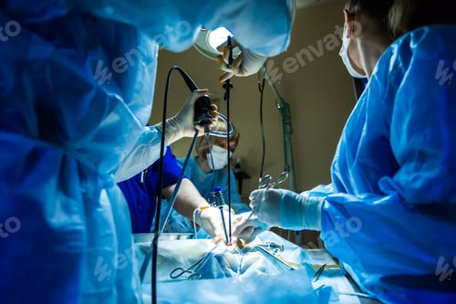 Preview: Surgeons Performing Laparoscopic Surgery in an Operating Room