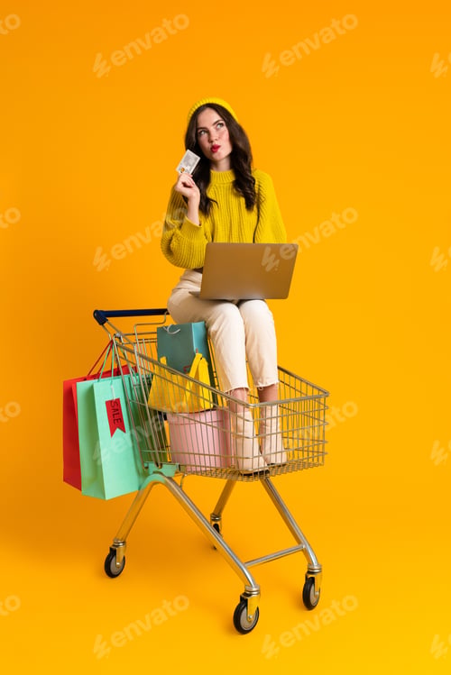 Preview: White woman using laptop while sitting in shopping cart