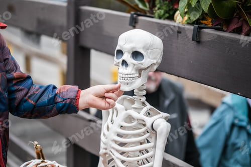 Preview: Smiling boy touching teeth you skeleton during Halloween
teeth