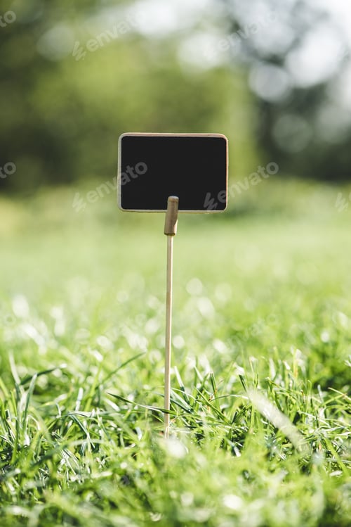 Preview: empty wooden board on stick in green grass
