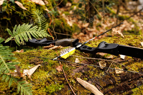 Preview: Arrow and bow laying on the ground in a lush forest setting