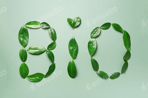 Preview: Word Bio made of leaves on green background. Top view. Flat lay. Ecology, eco friendly planet and