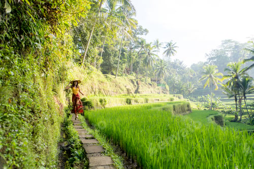 Preview: Woman at Tegalalang rice terrace in Bali