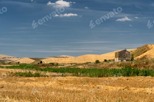 Preview: Rural landscape in Basilicata at summer