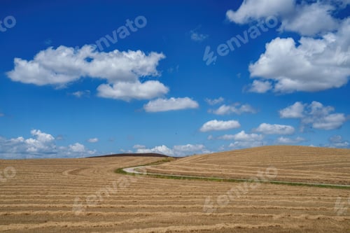 Preview: Rural landscape in Tuscany near Pienza