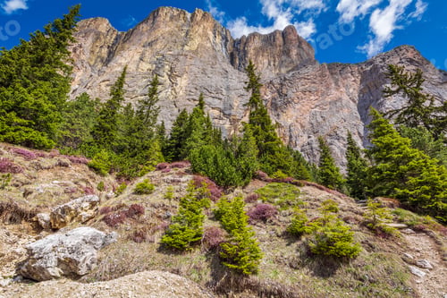 Preview: Wonderful view of great Dolomites in Italy