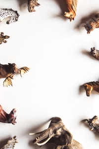 Preview: Group of animals toys isolated over white background. animals toys