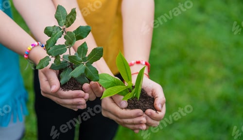 Preview: The child holds the plant and soil in his hands. Selective focus.