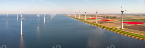 Preview: Windmill park with windmill turbines and colorful tulip fields during spring season on a sunny day