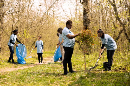 Preview: Diverse women are planting a small tree together in the forest habitat