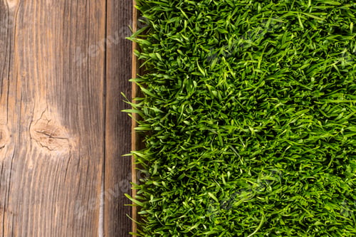 Preview: Green wheat grass