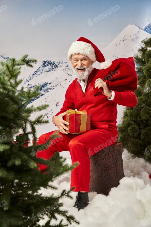 Preview: jolly Santa with present bag and gift sitting on tree stump next to conifers, winter concept