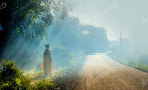 Preview: Woman on forest road in morning