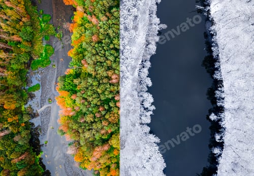 Preview: Snowy and colorful autumn forest. Winter and autumn in one
