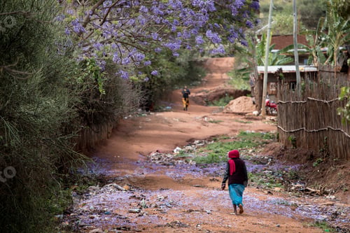 Preview: Colorful street scene in the Borana region of southern Ethiopia.