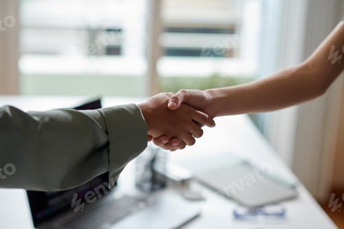 Preview: HR Manager and Applicant Shaking Hands