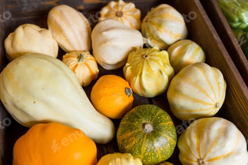 Preview: Variety pumpkin