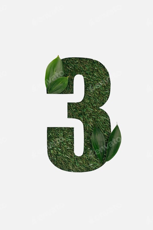 Preview: top view of cyrillic letter with green grass on background and natural leaves isolated on white