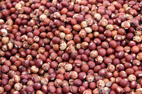 Preview: a lot of pigeon pea for background
