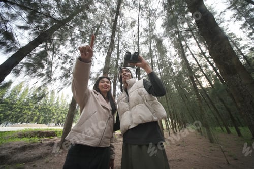 Preview: Friends enjoying photography in a lush forest during the late afternoon