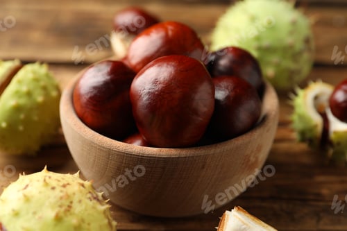 Preview: Horse chestnuts in bowl on wooden table, closeup