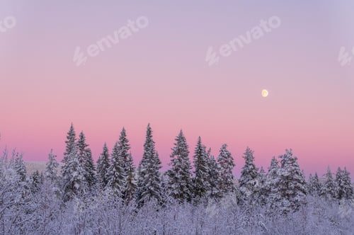 Preview: Breathtaking winter landscape featuring an array of snow-covered trees