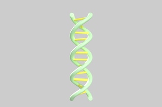 Aperçu: Structure en double hélice