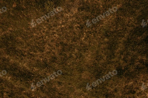 Preview: Texture wallpaper mockup template Dry grass texture aerial view