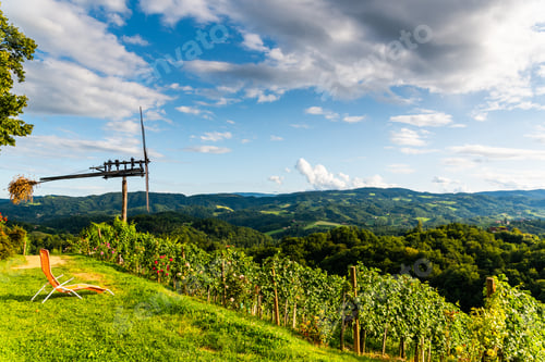 Preview: Austria, south styria vineyards travel destination. Tourist spot for vine
