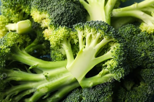 Preview: Broccoli on whole background, close up. Fresh vegetable